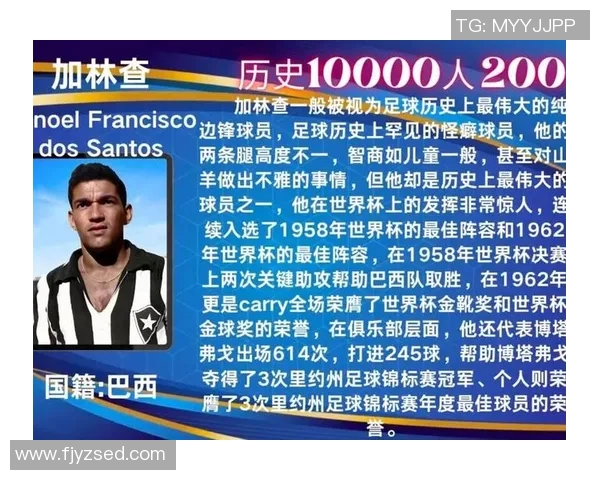 伊朗足球球星身价分析及其在国际足坛的市场影响力探讨