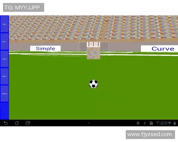 足球巨星粉丝文化狂热演变与影响力全景解读